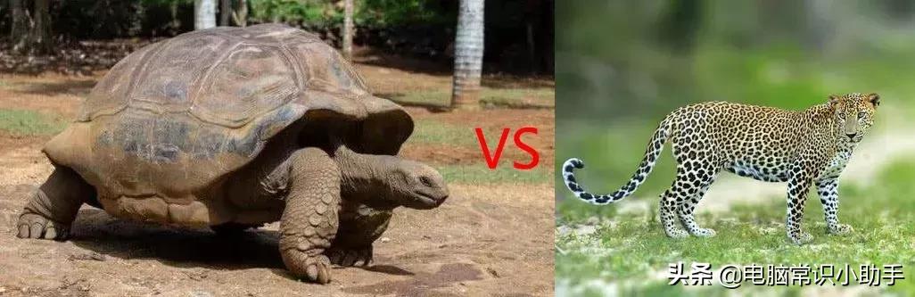 电脑四核八核的区别,四核电脑好吗值得买吗