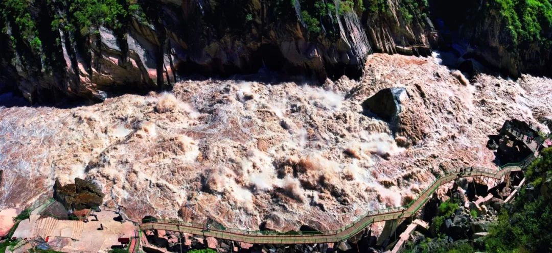 草原上特有的狼毒花,香格里拉狼毒花在哪里