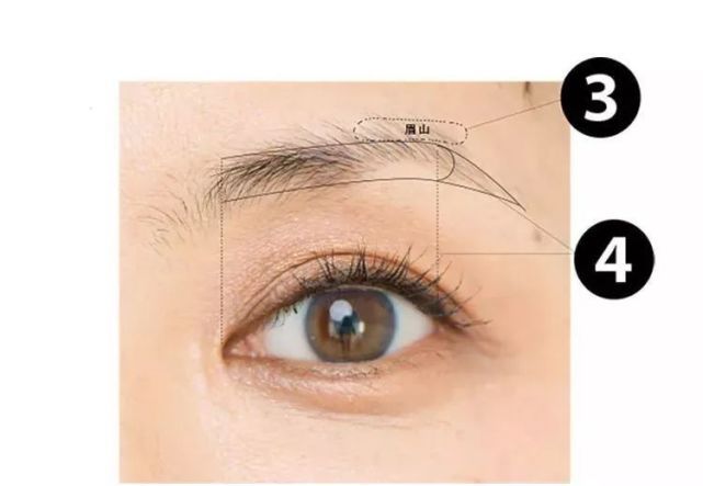 眉毛怎么修更好画,眉毛修毁了怎么画眉毛