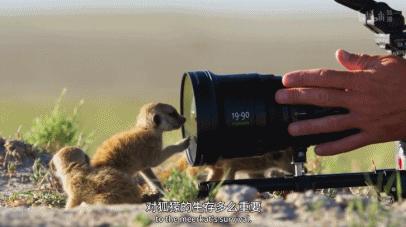 bbc纪录片最值得看的,bbc神级纪录片豆瓣评分超9