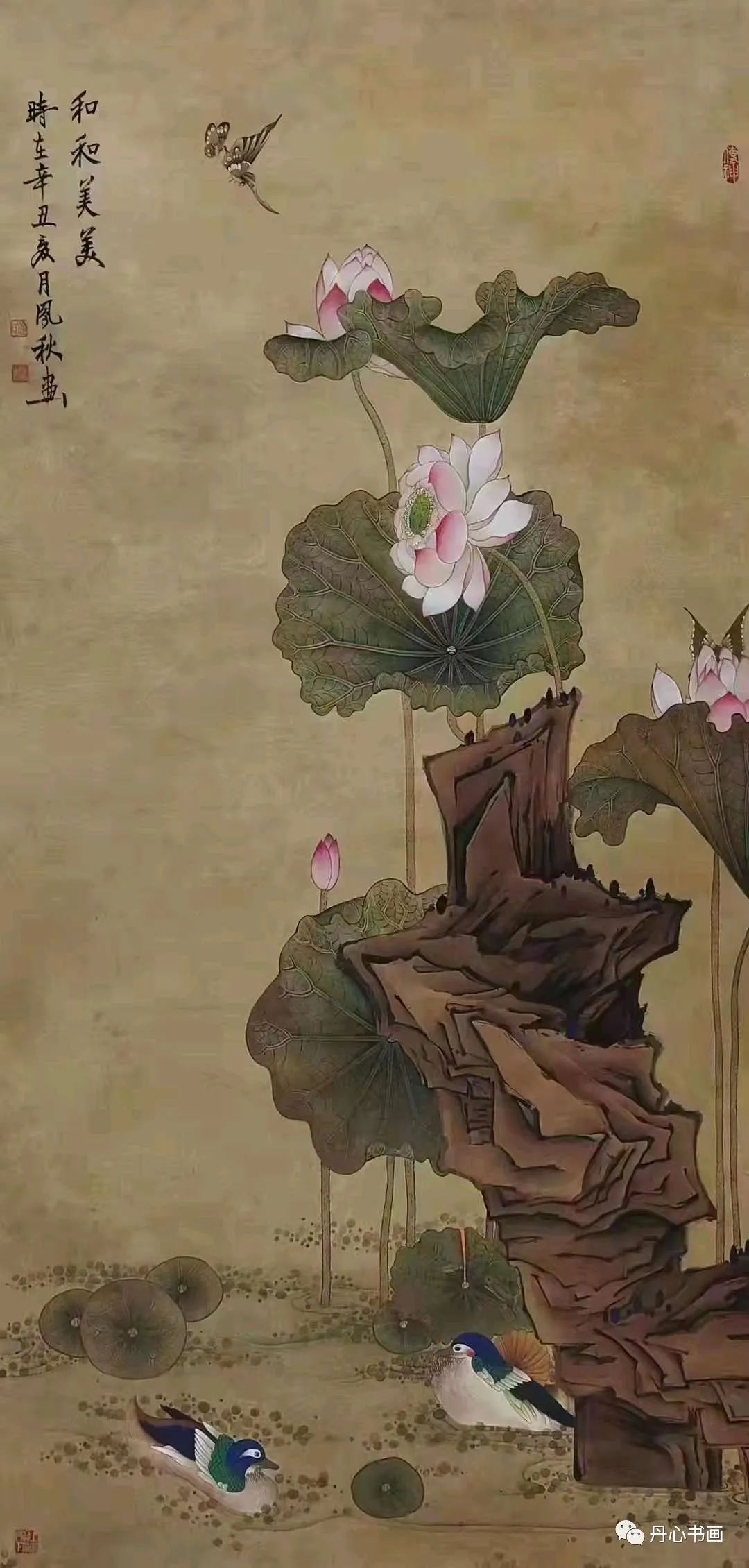 清新恬雅,意趣隽永|工笔画家徐凤秋