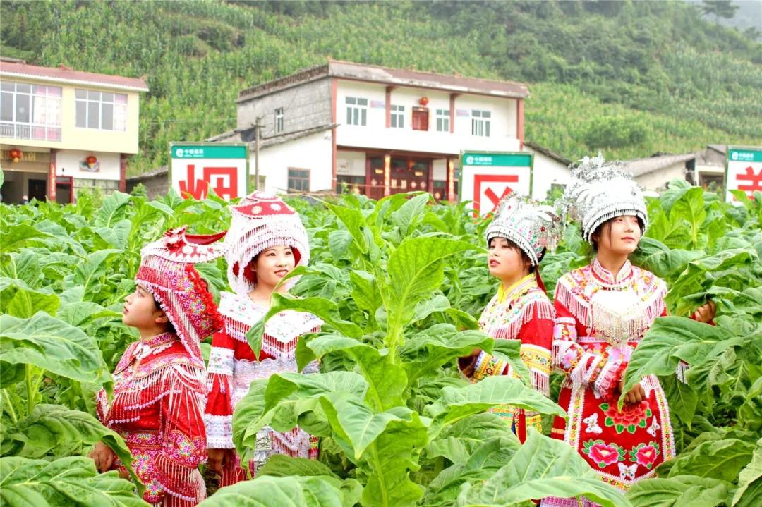 你不知道的筠连,筠连为什么叫筠连