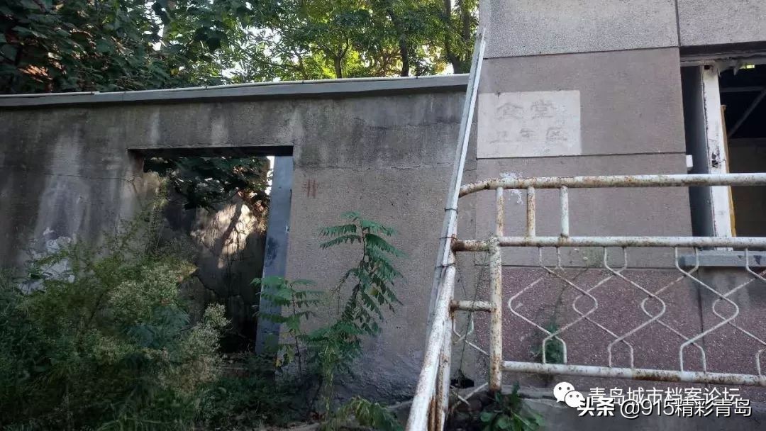 青岛葡萄酒有哪些,葡萄酒发展史青岛