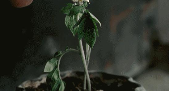 重口味!超大胆!观众被这部电影给骗了…