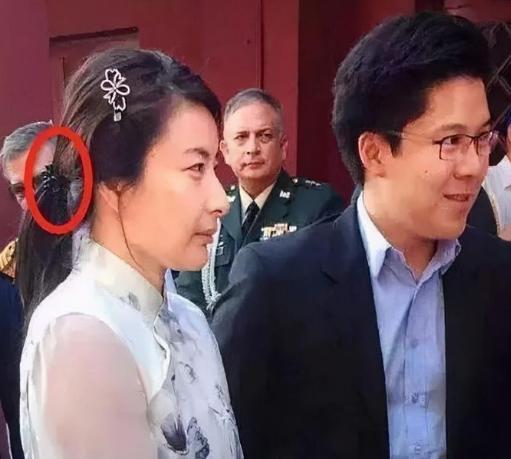 香港霍家身价多少亿,香港霍家家族