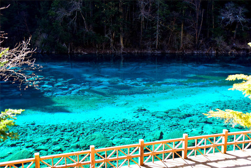 置身于童话中的九寨沟,畅游人间仙境黄龙九寨沟七日游