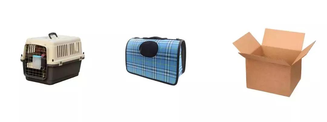 猫咪狗狗骨折了怎么办？扒一扒宠物“骨子里”的那些事