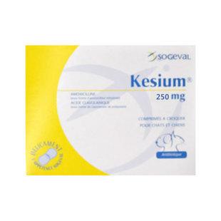 宠物消炎药有哪些,莫比新宠物消炎药