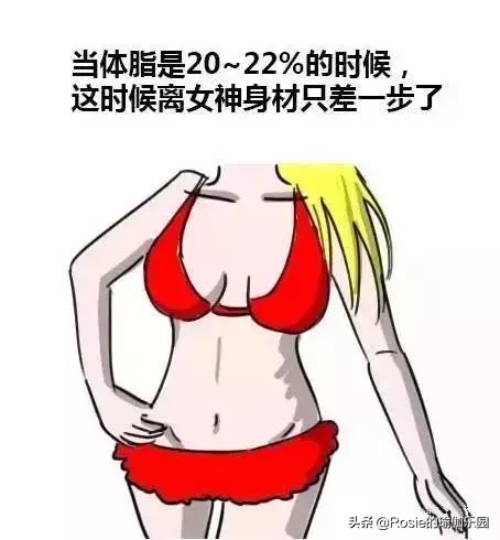 练出马甲线和小蛮腰和漫画腿,练出漂亮的马甲线英文