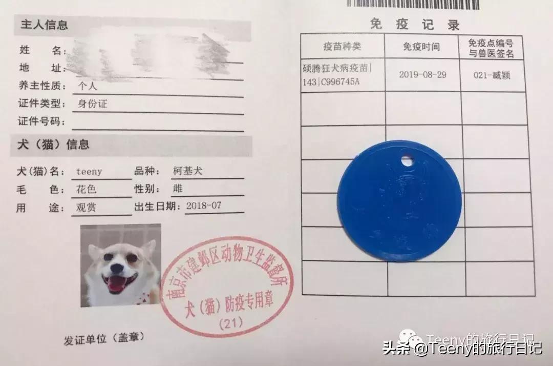 南京租房办狗证,南京租赁备案证明怎么办理