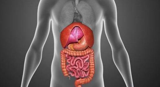 胃部疼痛都有哪些偏方,不同胃部疼痛症状和治疗方法