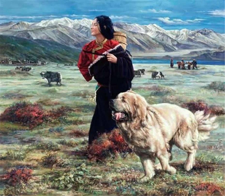 藏獒变流浪狗,藏獒从一条换北京两套房