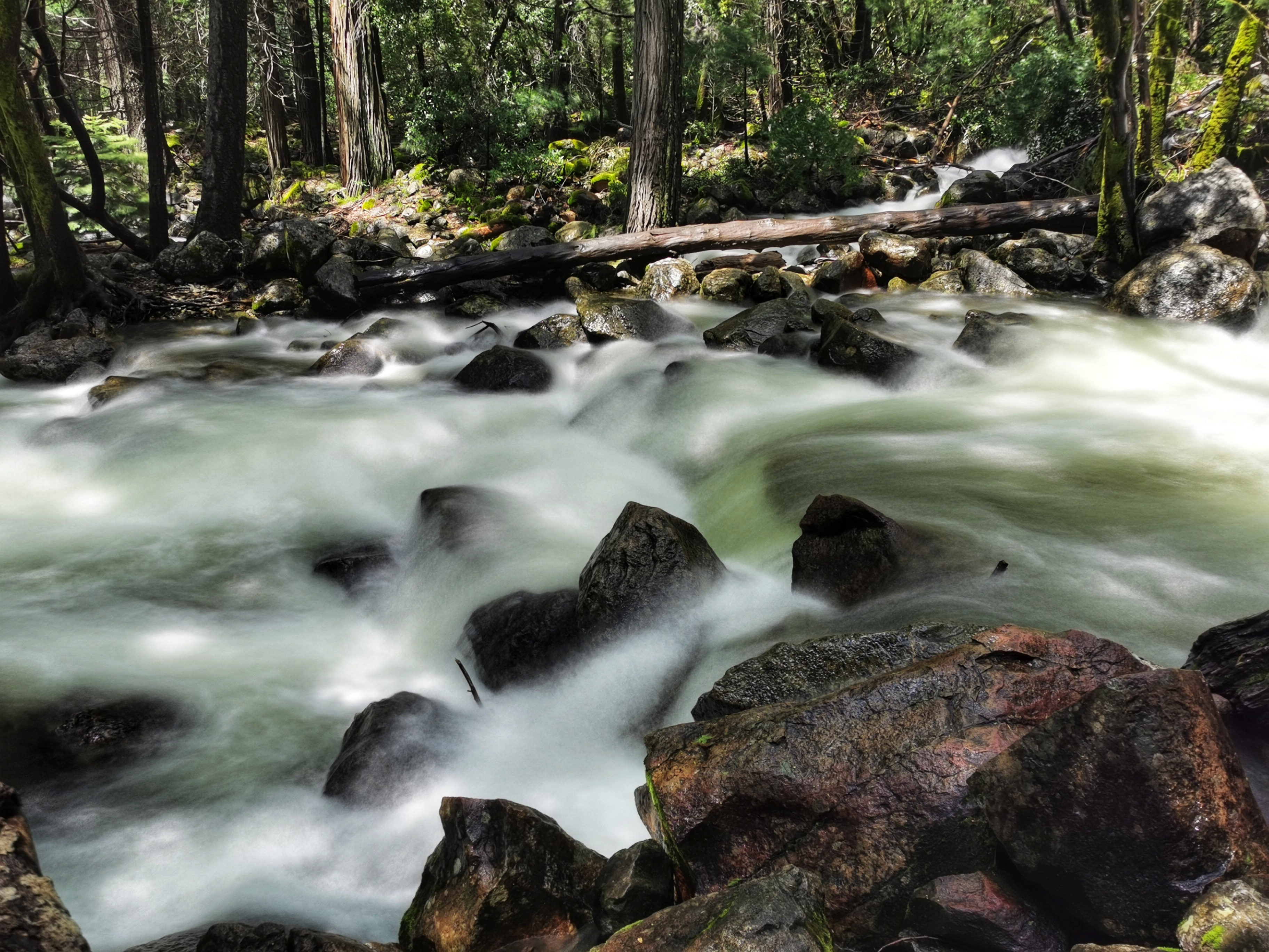 加利福尼亚优胜美地,美国旧金山优胜美地