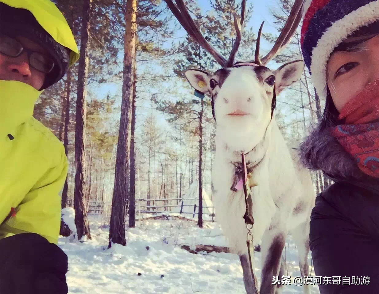 漠河旅游团暑假,漠河雪乡旅游小团