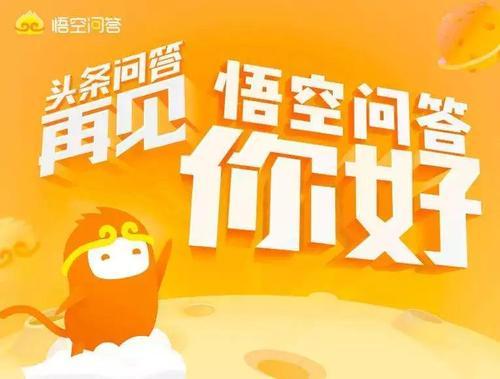 头条小店怎么开始运营,头条小店入驻需要哪些资料