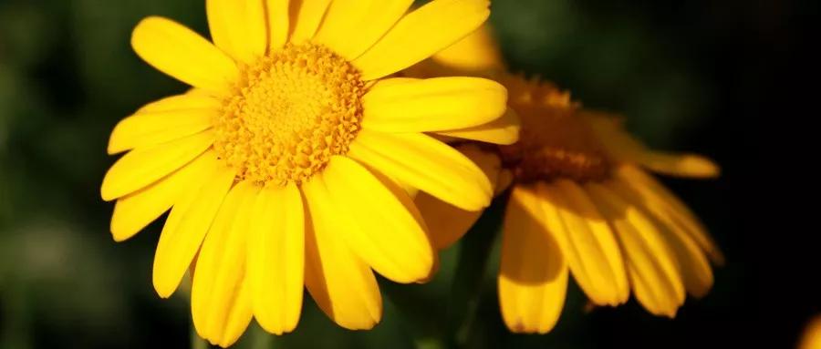 脾虚体寒怎么调理最有效,脾虚体寒湿气重怎么调理