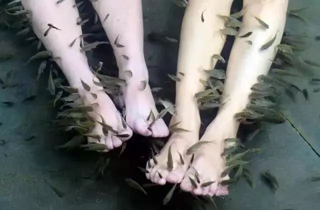 苏州书香世家树山温泉门票,苏州树山书香温泉度假村