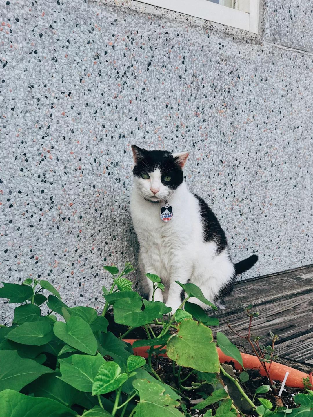 台湾自由行之台湾印象,台湾环岛深度纯玩