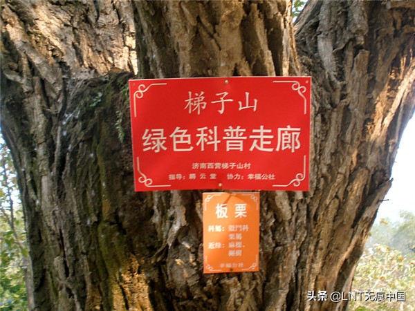 济南梯子山徒步登顶多长时间,济南云梯山徒步