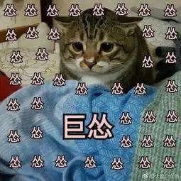 一张图看懂各种花瓶,花瓶全部演变史讲解