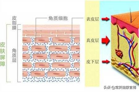 使用搓澡巾的害处,搓澡巾用了有害处吗