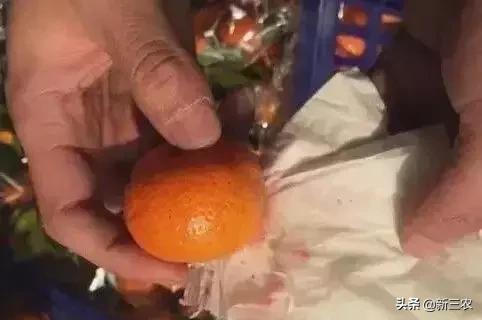 染色后一洗就掉色,哪些蔬菜一洗就掉色