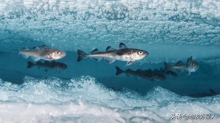水的知识你都知道吗,20个最常见的水知识你知道吗