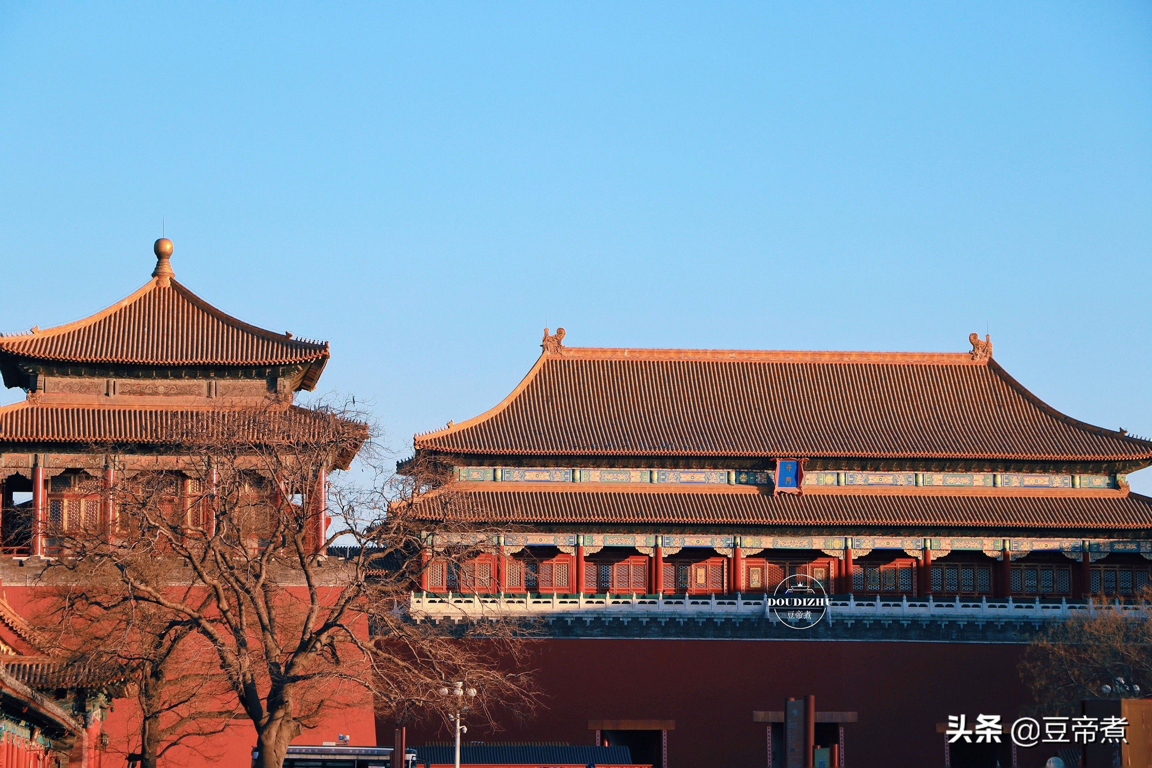 北京烤鸭有什么美誉,北京烤鸭也算特产