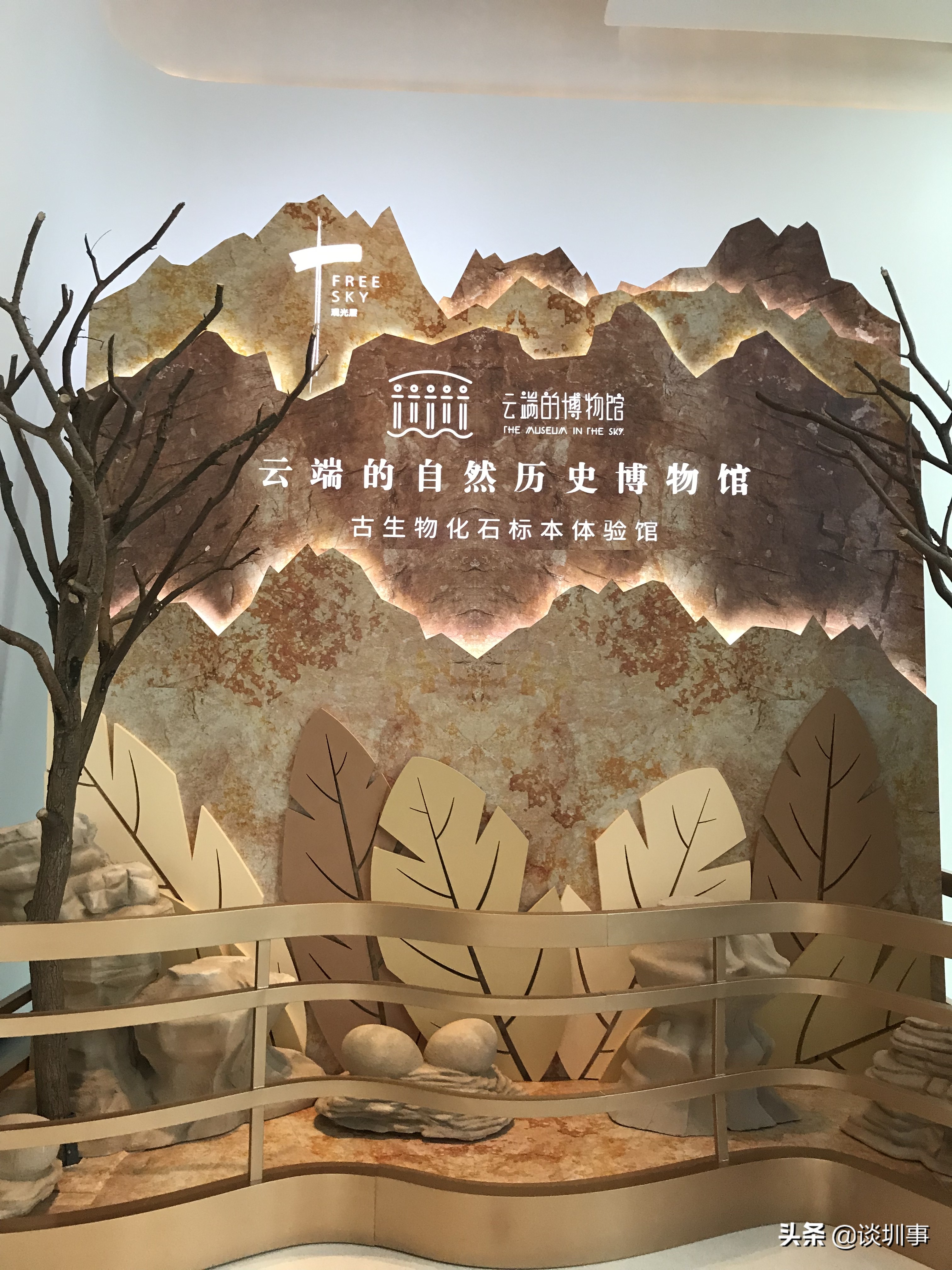 登顶深圳第一高楼,登上深圳平安金融大厦