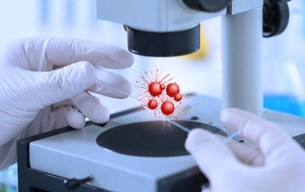 肝癌治疗新技术靶向药物,肝癌晚期免疫治疗肿瘤效果好吗