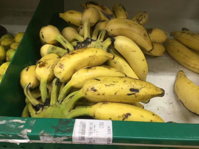 去迪拜旅游看什么东西,去迪拜旅游看到哈利法塔