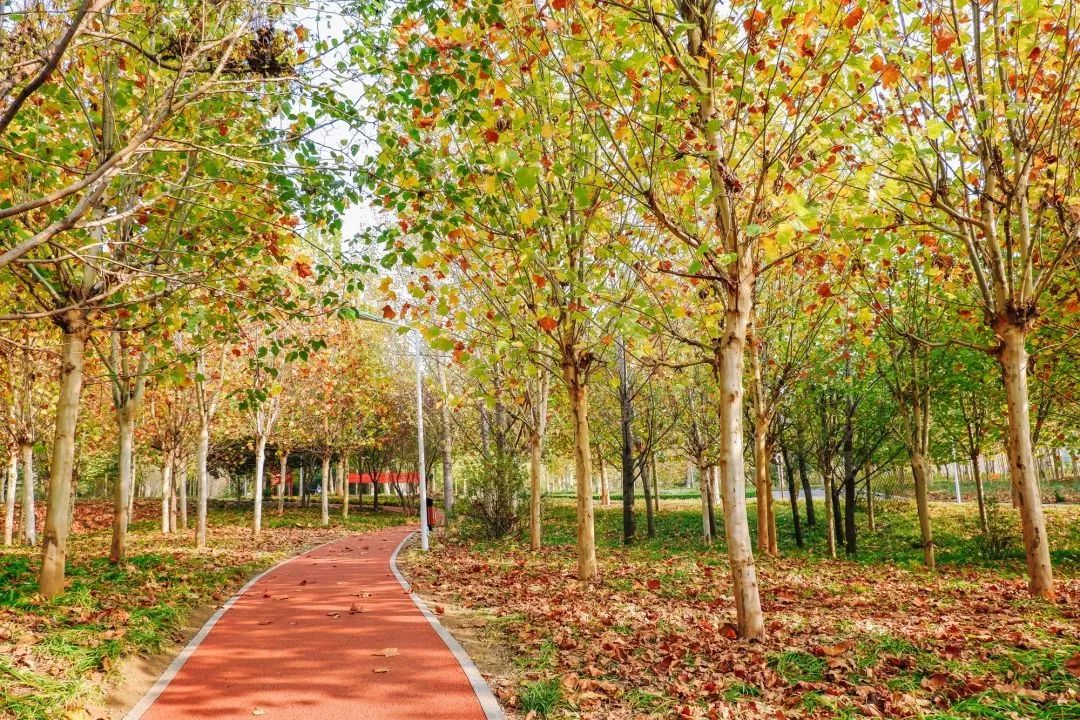 郑州2023年崛起吗,郑州今年还会升温吗