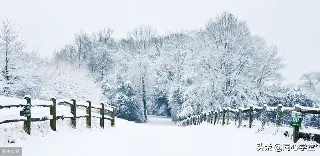 2018年数九时间表,今年数九是哪天开始的