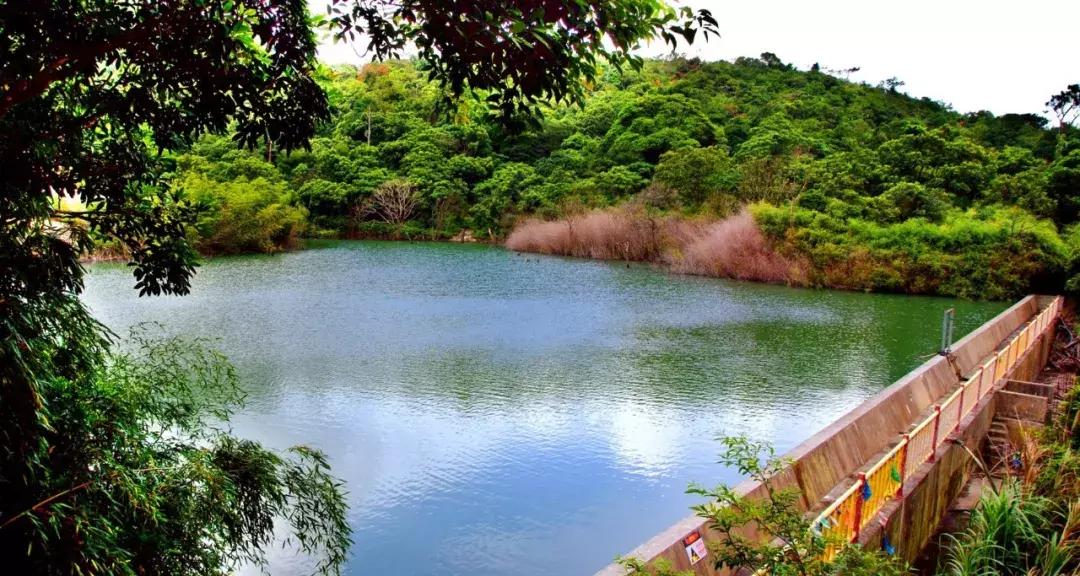 公告:第五届观音山杯恭请观音归南海全球辞赋大赛结果