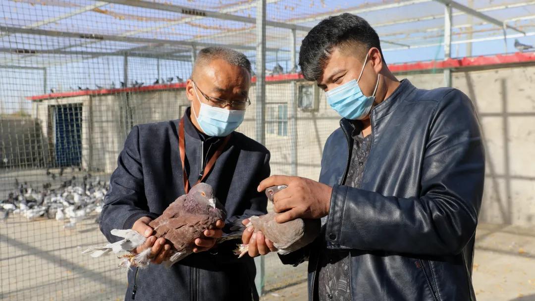 鑷村瘜璺笂楦藉０鍢逛寒,涓旀湯鑷村瘜璺笂楦藉０鍢逛寒