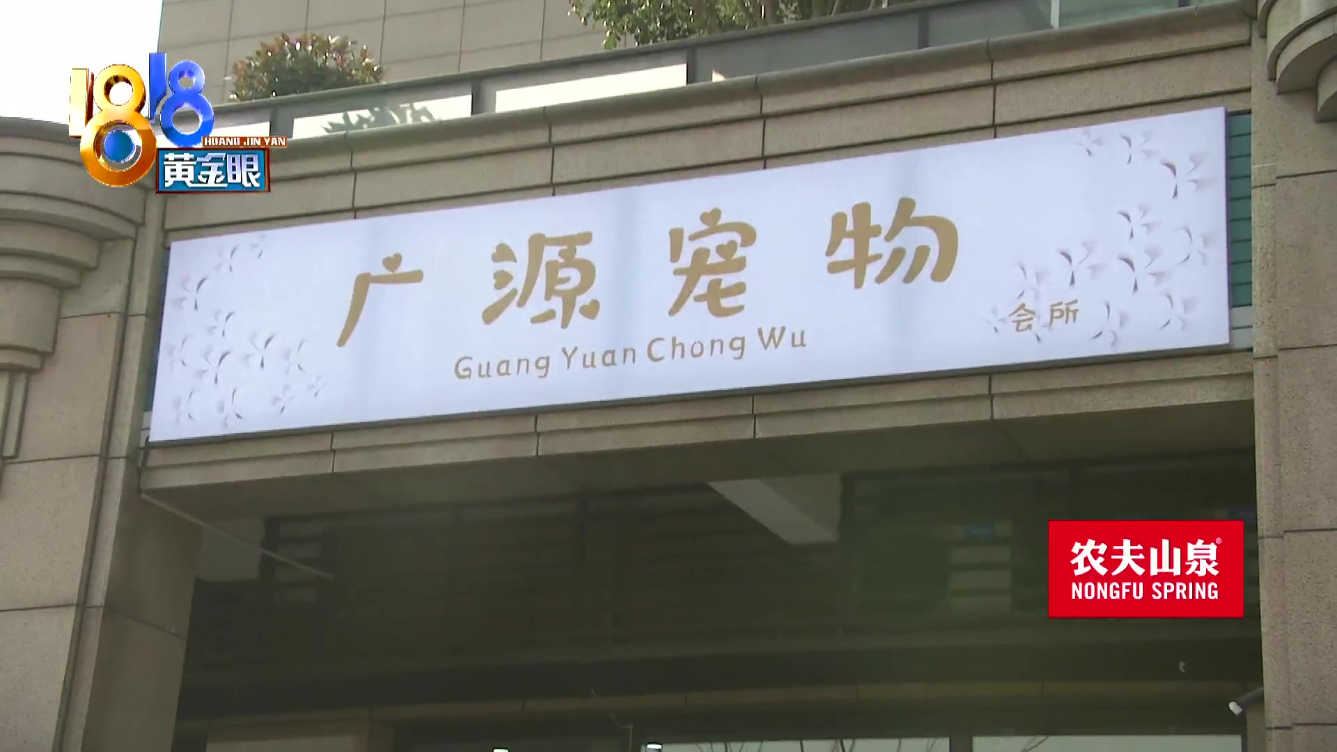 刚买10天不到的小狗被炖了,买来三天小狗就腿站不直了