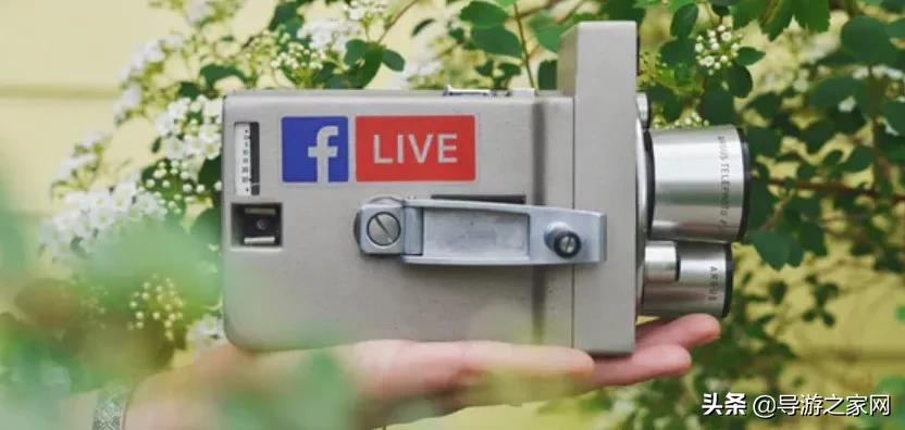 导游的工资收入靠什么,导游基本工资