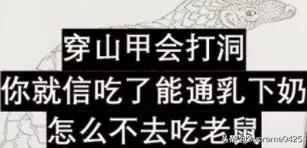 吃野生穿山甲的后果,吃了穿山甲会有什么法律后果