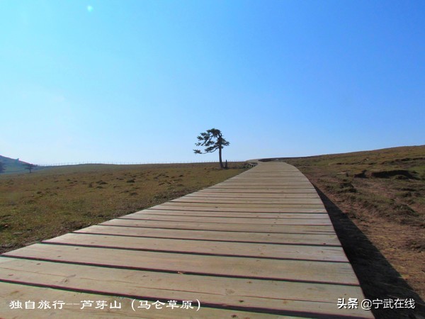 宁武芦芽山悬崖栈道,太原出发芦芽山马仑草原自驾路线