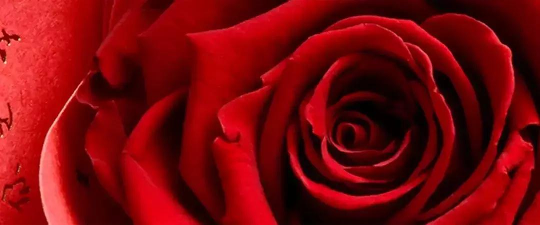 铟立方推荐|爱有一万种表达方式,而你只会发红包