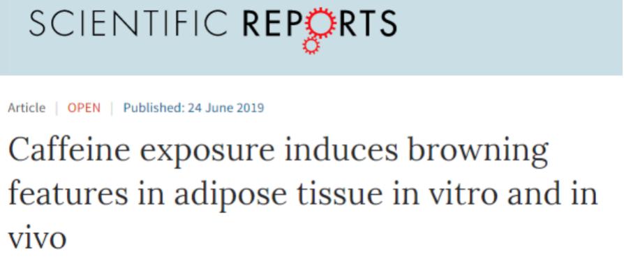 喝咖啡减肥反弹吗,喝咖啡减肥会不会有副作用