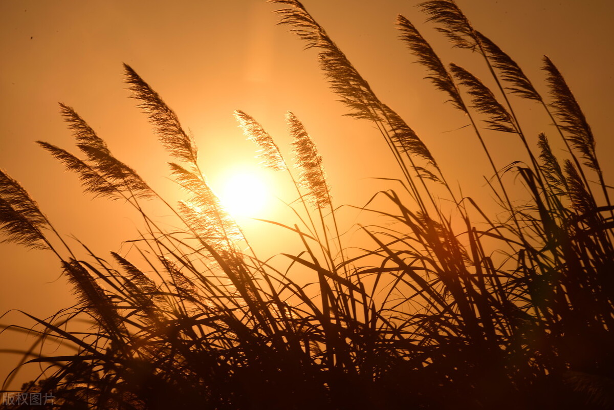 元稹写给白居易的名句,白居易写给元稹的最深情的六句诗