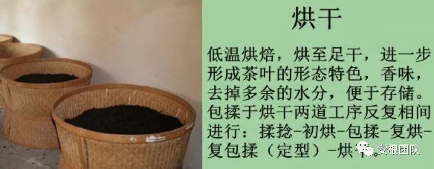工夫红茶发酵程度,工夫红茶的干燥过程图片