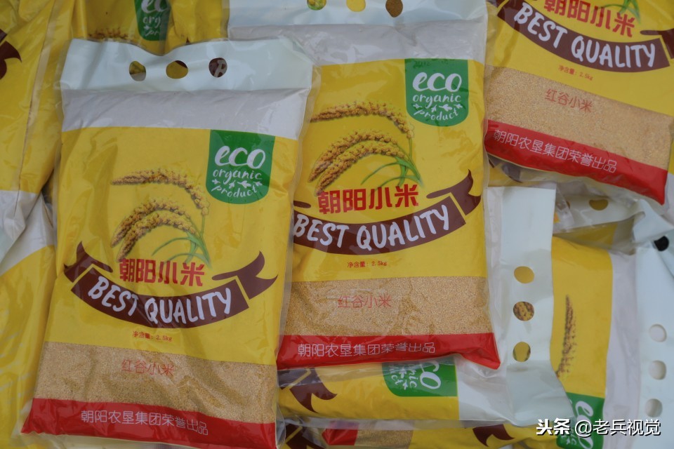 来一碗热乎乎的小米粥,来碗暖心暖胃的小米粥