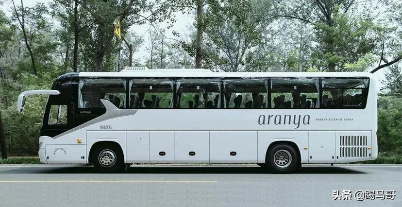 阿那亚必打卡地,阿那亚拍照打卡地