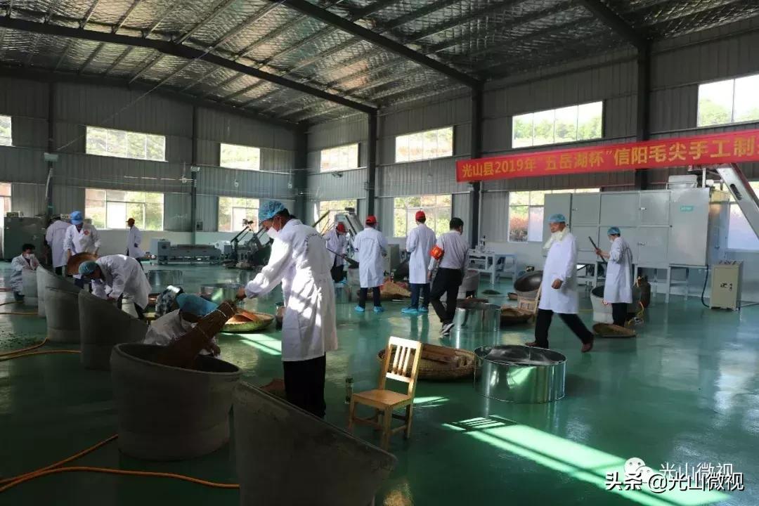 光山斗茶大赛完整版,信阳斗茶大赛获奖