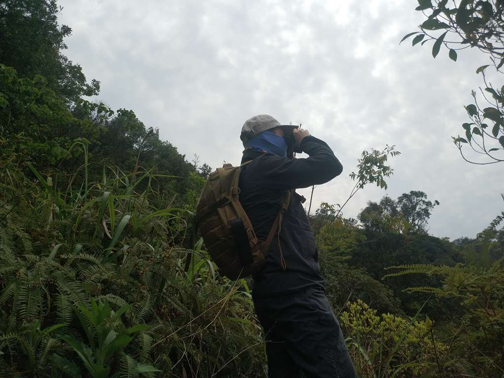 *力暴**的掌中怪兽--杰特明2020款TH20体验