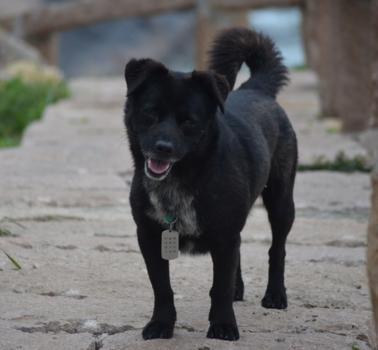 遮天无始大帝多少章与叶凡相遇,遮天最强的不是叶凡而是无始大帝