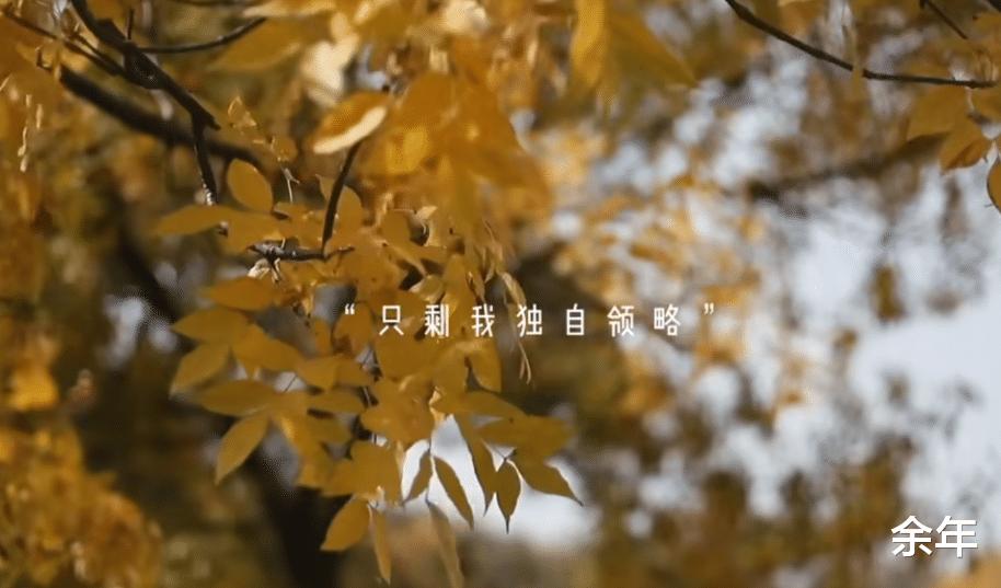 老人过世房产被其中一位子女出租,老人过世后子女把房子变卖