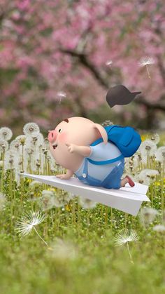 可爱又萌的小猪猪,可爱的小猪猪萌萌哒